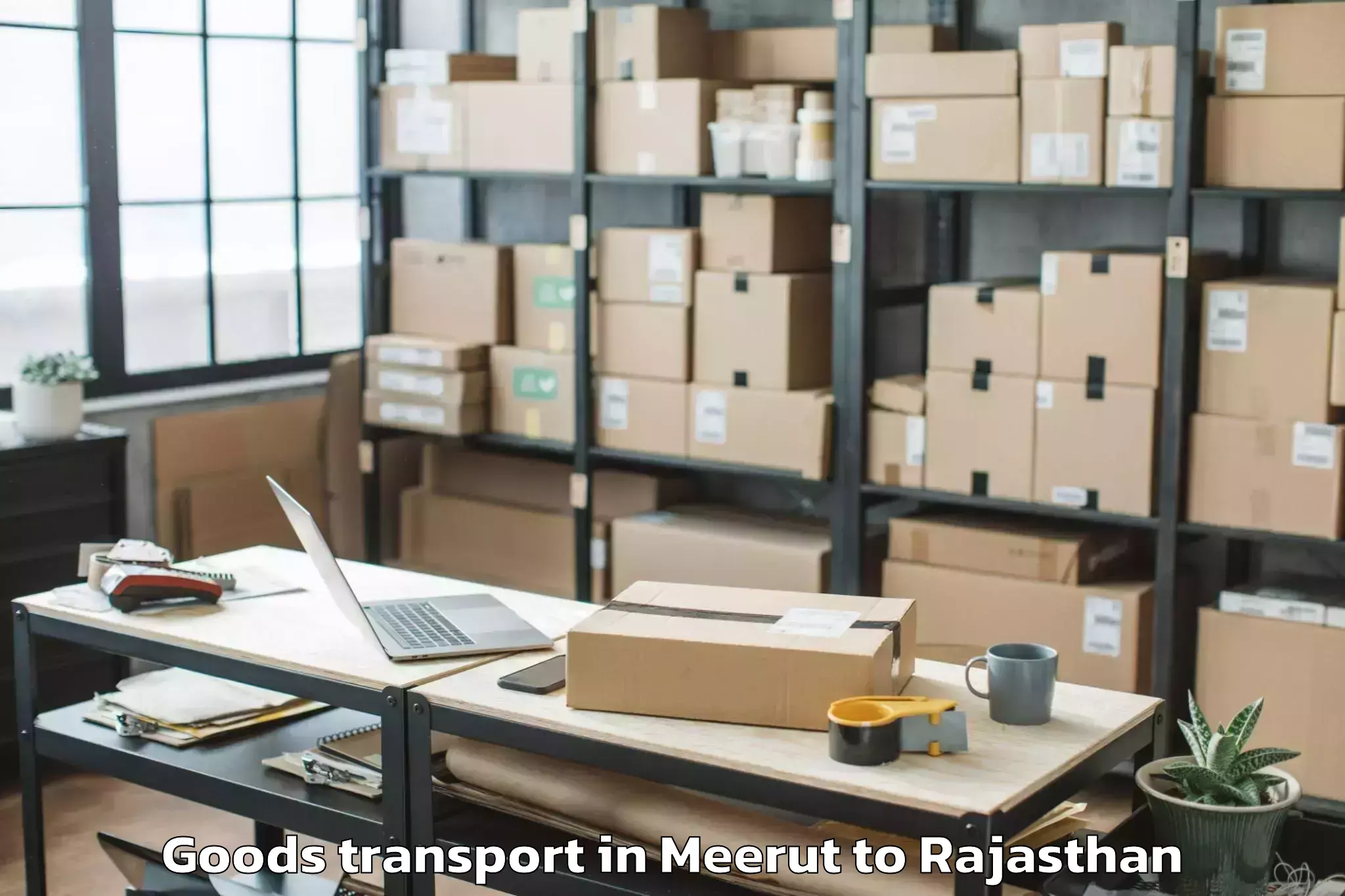 Hassle-Free Meerut to Padampur Goods Transport